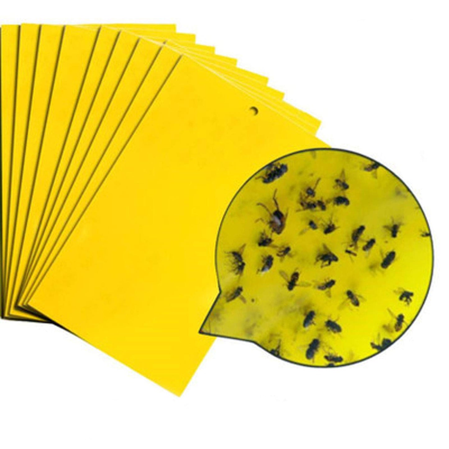 yellow sticky boards