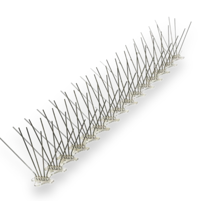 Birds Spike - Silver, 5 Root