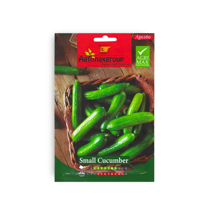 Cucumber Seeds