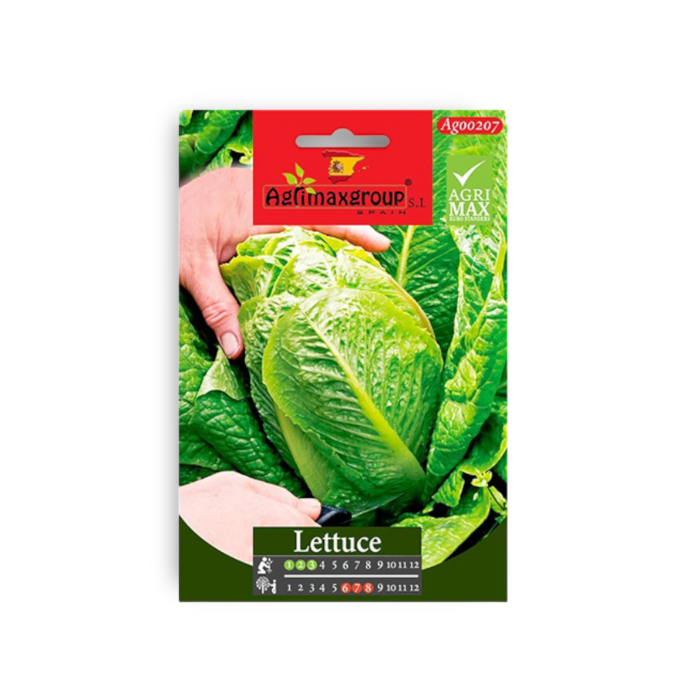 Lettuce Seeds