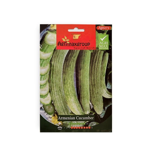 Armenian cucumber