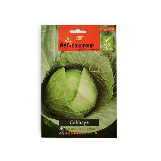 Cabbage