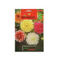 Dahlia Decorative Mix