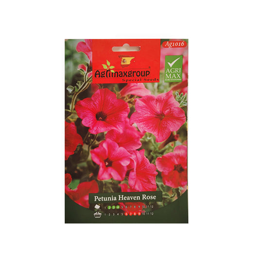 Petunia Heaven Rose