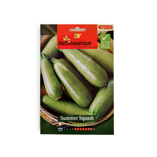 Summer Squash Seeds