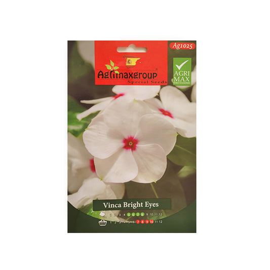 Vinca Bright Eyes