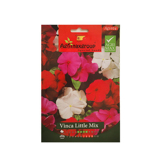 Vinca Little Mix