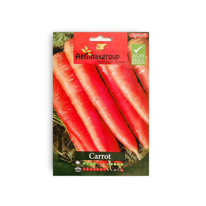 Carrot Seeds